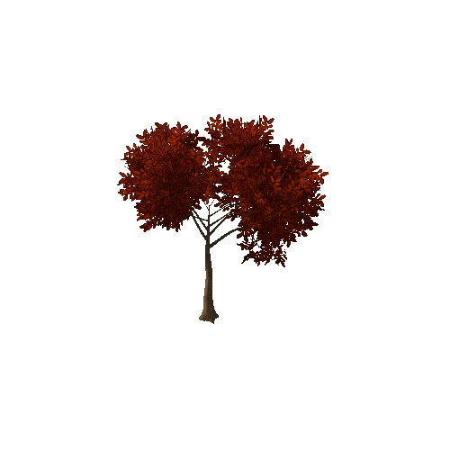 Tree Small 1 (Autumn)